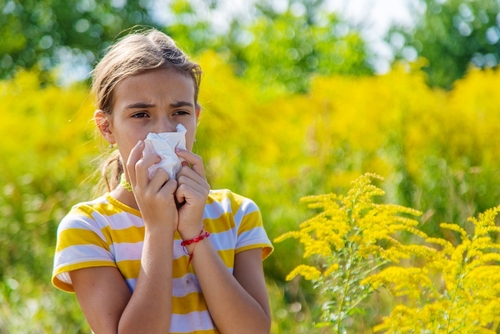 Child holding tissue over her nose due to pollen allergy symptoms.