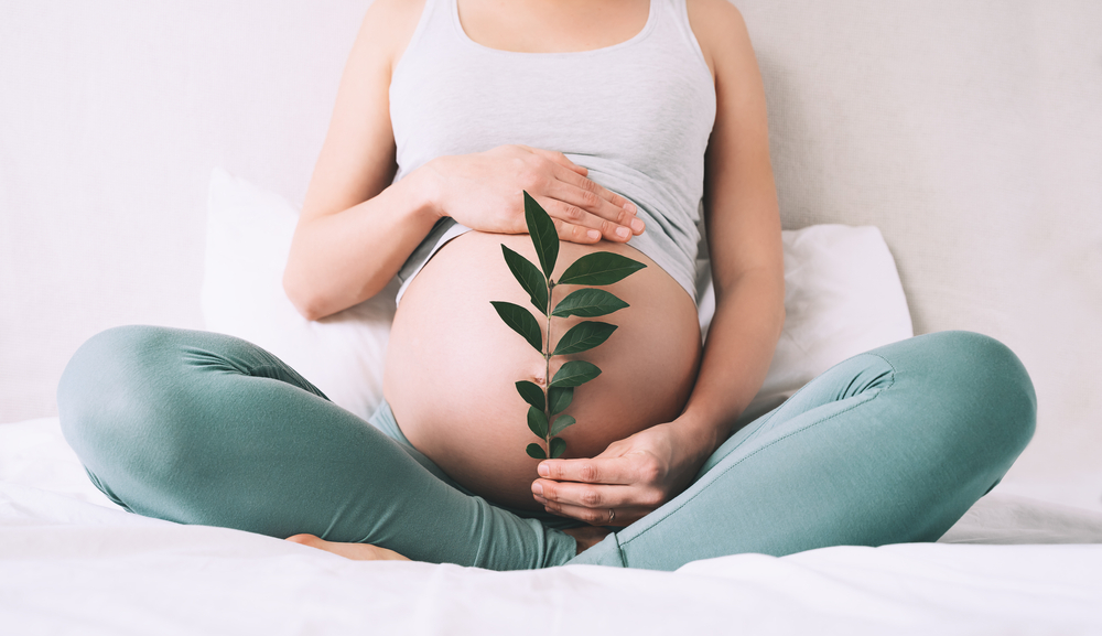 Pregnant woman holds green sprout plant